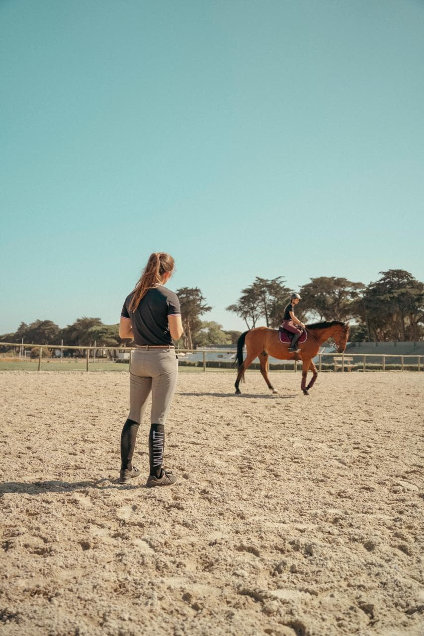 Rider schooling a horse at the riding school